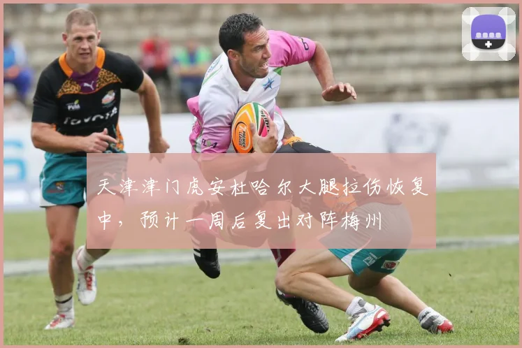 天津津门虎安杜哈尔大腿拉伤恢复中,预计一周后复出对阵梅州